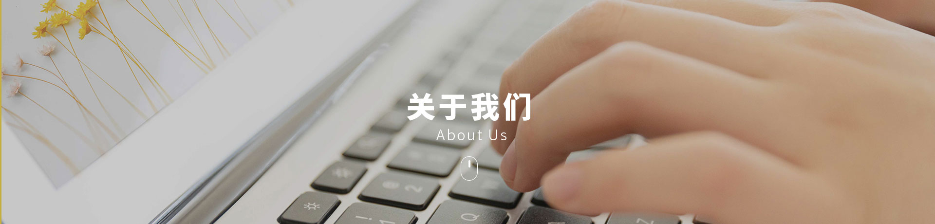 博鱼网页版登录入口